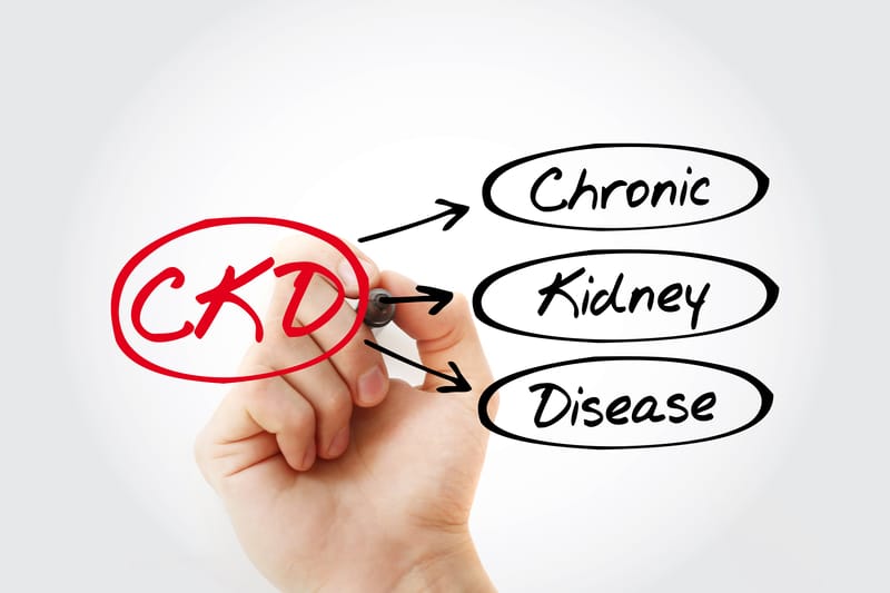 CKD - Chronic Kidney Disease acronym