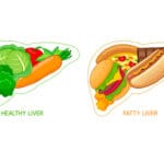 food in shape of liver