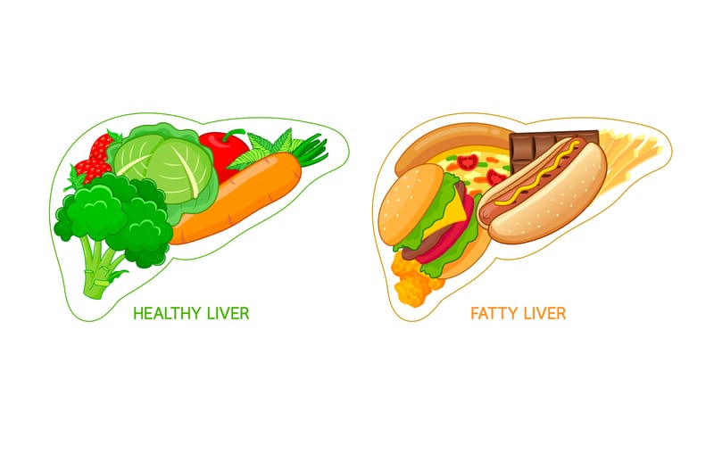 food in shape of liver